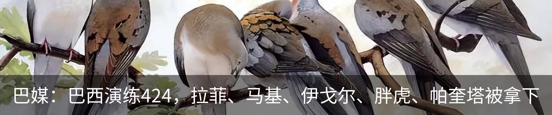 内页banner