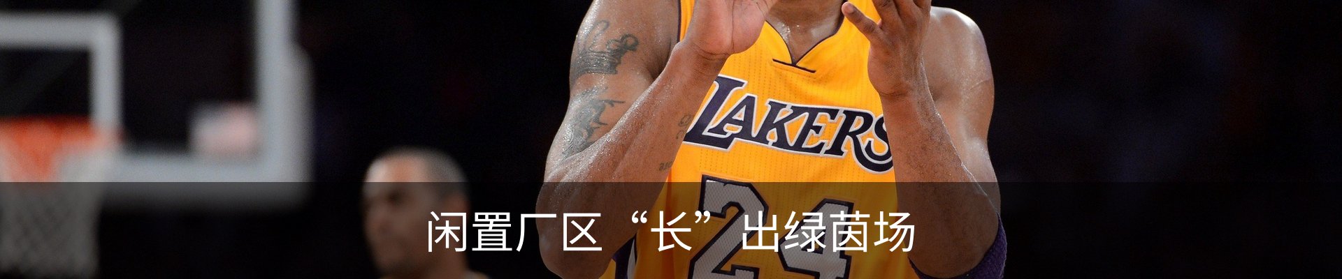 内页banner
